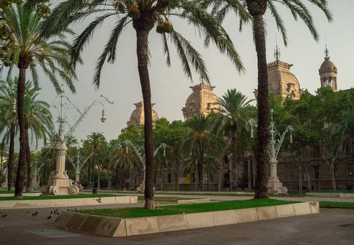 September 8, 2014, Barcelona, Spain. Palm trees in the park at Passeig de Lluis Companys in the capital of Catalonia