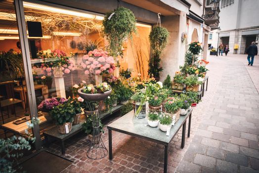 Beautiful Flower Bouquet and Decoration Plants Flowers Shop for Sell and Decorative Service. Business Floral Design and Plant Shops for Home Gardening in Old Town of Schaffhausen City, Switzerland.