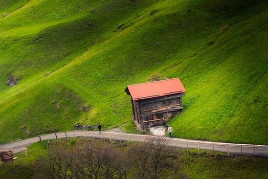 Countryside Valley View of Swiss Alps With Cottage Livestock at Zermatt City, Switzerland. Rural Scenic and Amazing Nature Green Fields of Alpine Switzerland. Europe Travel Vacation at Spring Season