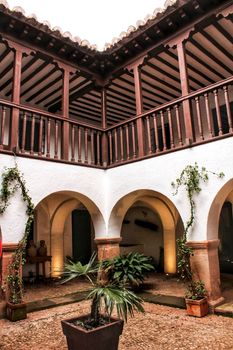 Courtyard of a typical house in Villanueva de los Infantes , Castilla la Mancha, Spain