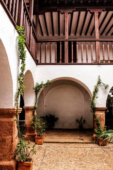 Courtyard of a typical house in Villanueva de los Infantes , Castilla la Mancha, Spain