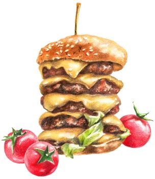 Color pencils realistic food illustration of burger and cherry tomatoes. Hand-drawn objects on white background.