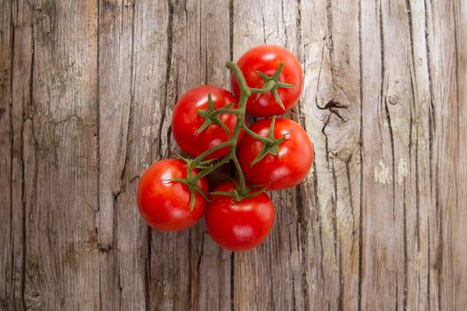 Presentation of a cluster of smooth round red tomatoes