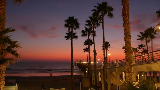 Palms silhouette on twilight sky, California USA, Oceanside pier. Dusk gloaming nightfall atmosphere. Tropical pacific ocean beach, sunset afterglow aesthetic. Dark black palm tree, Los Angeles vibes.