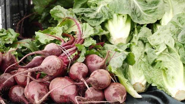 Organic vegetables on counter, fresh local produce homegrown raw veggies on marketplace stall. Healthy vegetarian food, Farmers market in Oceanside California USA. Agricultural farm harvest selling.