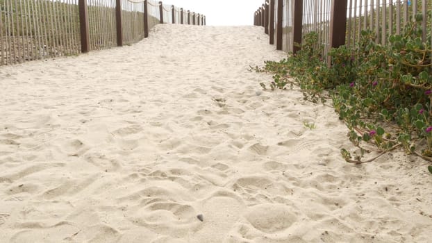 Wooden picket fence, sandy misty beach, Encinitas California USA. Pacific ocean coast, dense fog on empty sea shore. Coastline near Los Angeles, boards in milky smog haze. Gloomy weather on shoreline.