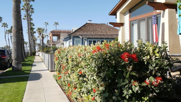 Houses on suburban street in California USA, Oceanside. Generic buildings in residential district near Los Angeles. Real estate property exterior. Tropical gardens, palms near typical american homes.