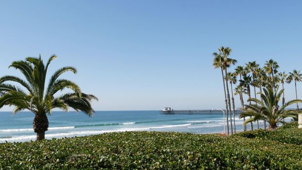 Pacific ocean beach, green palm trees and pier. Sunny day, tropical waterfront resort. Vista viewpoint in Oceanside, near Los Angeles California USA. Summer sea coast aesthetic, seascape and blue sky.