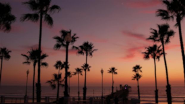 Blurred palms silhouette, twilight sky, California USA, Oceanside pier. Dusk gloaming nightfall atmosphere. Tropical pacific ocean beach, sunset afterglow aesthetic. Dark palm tree, Los Angeles vibes.