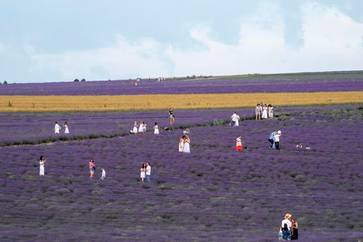 Turgenevka, Crimea-June 24, 2021: Lavender field with lots of people