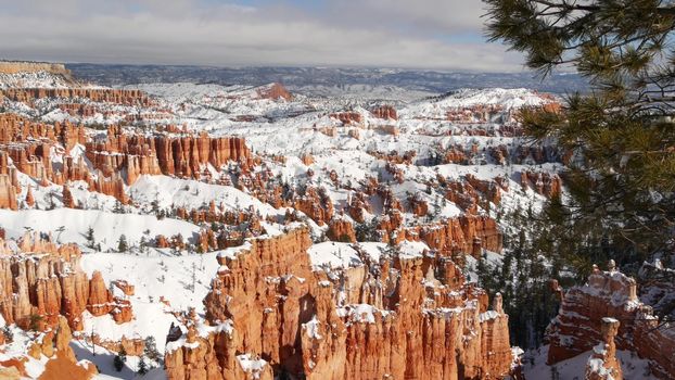 Bryce Canyon in winter, snow in Utah, USA. Hoodoos in amphitheater, eroded relief, panoramic vista point. Unique orange formation. Red sandstone and coniferous pine or fir tree. Eco tourism in America
