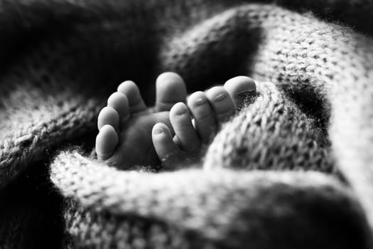 Photo of the legs of a newborn. Baby feet covered with wool isolated background. The tiny foot of a newborn in soft selective focus. Black and white image of the soles of the feet. High quality photo