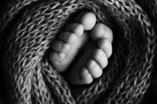 Photo of the legs of a newborn. Baby feet covered with wool isolated background. The tiny foot of a newborn in soft selective focus. Black and white image of the soles of the feet. High quality photo