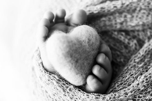 Feet of a newborn with a wooden heart, wrapped in a soft blanket. Black and white studio photography. High quality photo