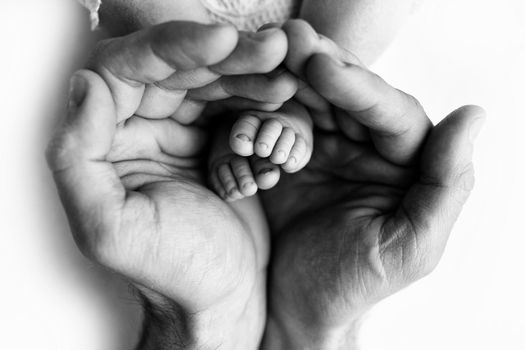 Feet of a newborn in the hands of a father, parent. Studio photography, black and white. Happy family concept. High quality photo