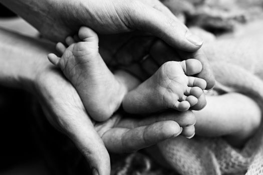 Children's feet in hold hands of mother and father on white. Mother, father and newborn Child. Happy Family people concept. Black and white. High quality photo