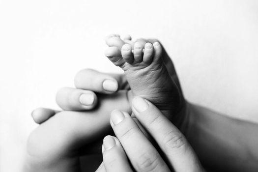 Children's feet in hold hands of mother and father on white. Mother, father and newborn Child. Happy Family people concept. Black and white. High quality photo