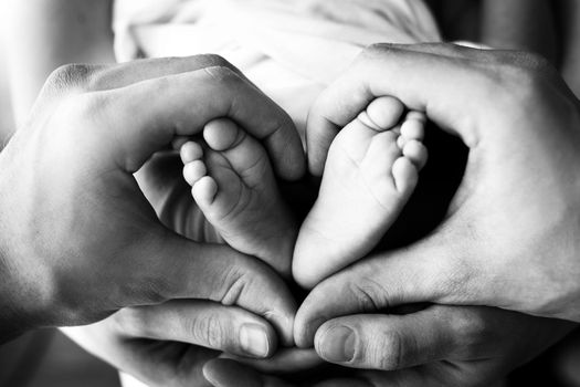 Children's feet in hold hands of mother and father on white. Mother, father and newborn Child. Happy Family people concept. Black and white. High quality photo