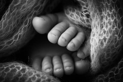 Photo of the legs of a newborn. Baby feet covered with wool isolated background. The tiny foot of a newborn in soft selective focus. Black and white image of the soles of the feet. High quality photo