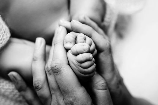 Children's feet in hold hands of mother and father on white. Mother, father and newborn Child. Happy Family people concept. Black and white. High quality photo