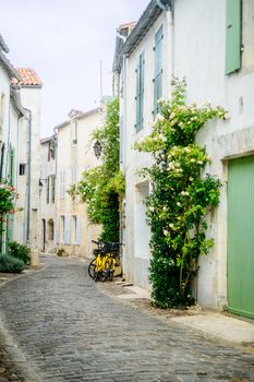 Small alley with pebbles on ile de Ré during summertime with yellow bikes and hollycock