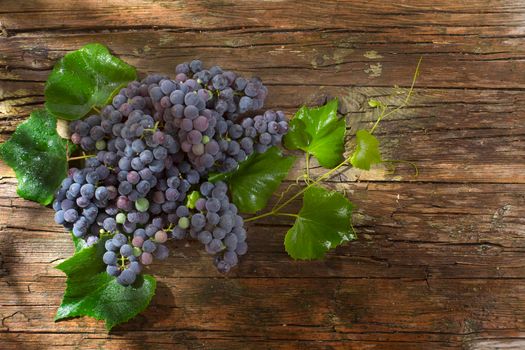 Late summer fruits, collection of black grape strawberry