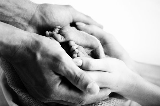Children's feet in hold hands of mother and father on white. Mother, father and newborn Child. Happy Family people concept. Black and white. High quality photo