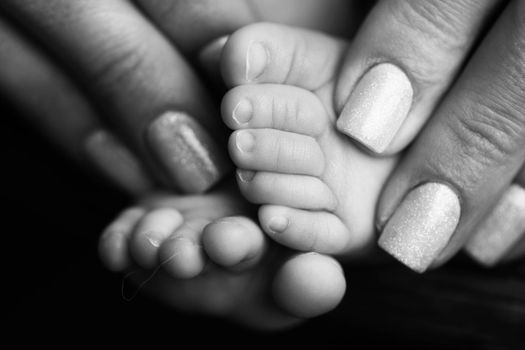 Children's feet in hold hands of mother and father on white. Mother, father and newborn Child. Happy Family people concept. Black and white. High quality photo