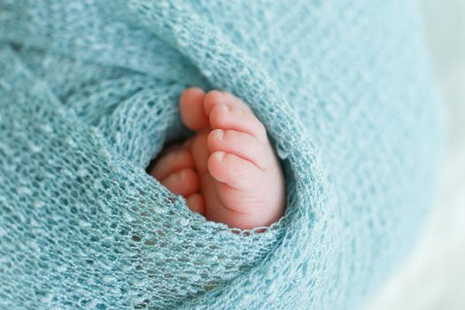 Two cute tiny baby feet wrapped in a blue-green aqua knitted blanket. High quality photo