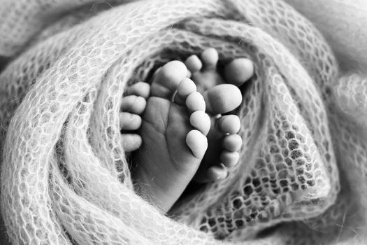 Photo of the legs of a newborn. Baby feet covered with wool isolated background. The tiny foot of a newborn in soft selective focus. Black and white image of the soles of the feet. High quality photo