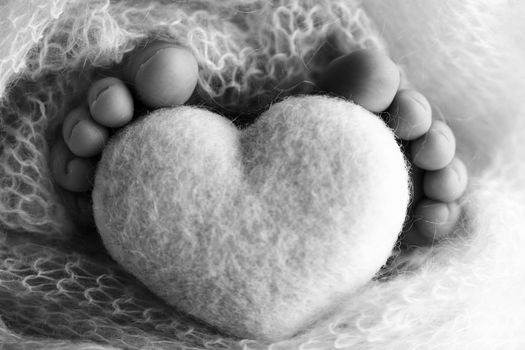 Feet of a newborn with a wooden heart, wrapped in a soft blanket. Black and white studio photography. High quality photo