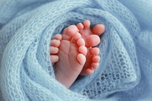 Two cute tiny baby feet wrapped in a blue-green aqua knitted blanket. High quality photo