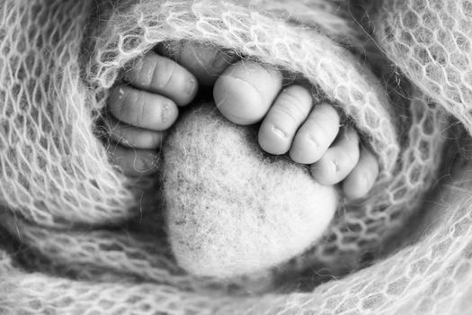 Feet of a newborn with a wooden heart, wrapped in a soft blanket. Black and white studio photography. High quality photo