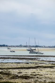 view from the beach of la patache on pleasure boats at lowtide with Ars-en-Ré in the background