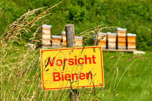 warning sign bees in a meadow