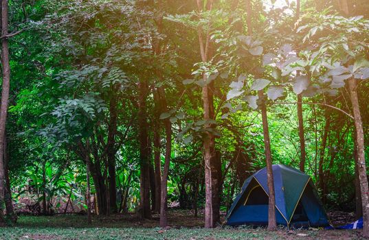Camping and tent in nature park