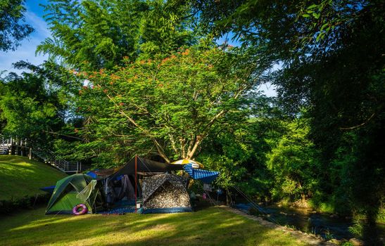 Camping and tent in nature park near the stream