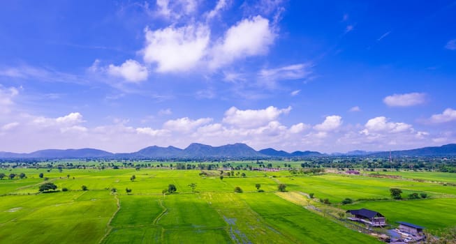 Green field and blue sky with mountain background