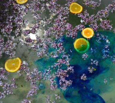 Lilac flowers and orange slices floating on blue water