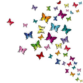 Colorful flying butterflies isolated on white background