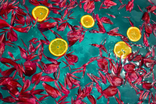 Red peony petals and orange slices on the water