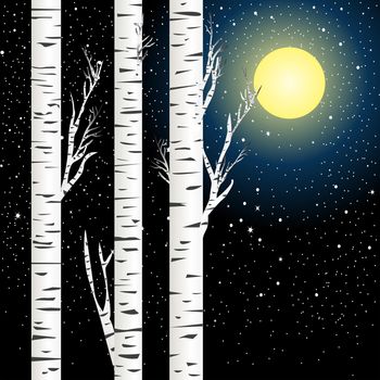 Birch trees against night sky with full moon and stars