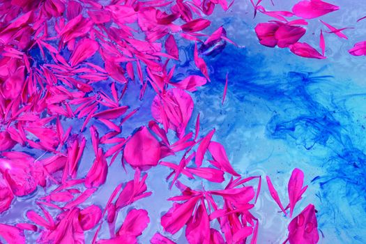 Pink petals floating on blue water