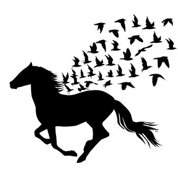 Abstract silhouettes of horse and birds flying
