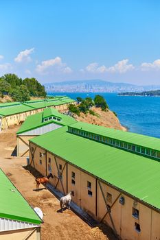 Stables on the island of Buyukada overlooking the sea.