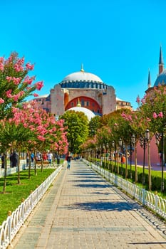 Sophia Mosque in Istanbul. A beautiful park with flowering trees. Warm summer day. Istanbul, Turkey - 28.07.2017