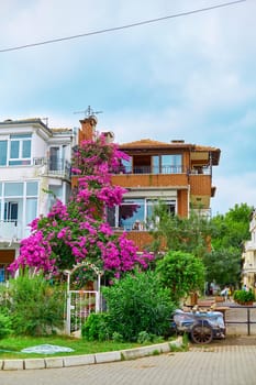 Decoration of a residential building with bright purple flowers.