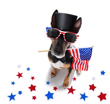 bull terrier waving a flag of usa and victory or peace fingers on independence day 4th of july with sunglasses