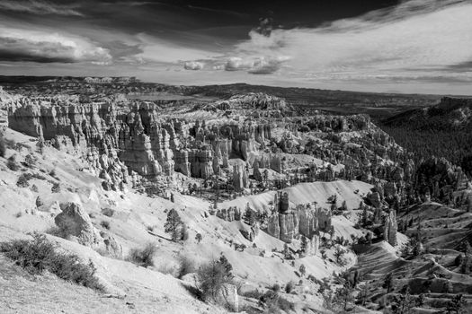 A monochrome image of the view over Bryce Canyon National Park from the Rim Trail.