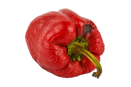 rotten red bell pepper isolated on white background.